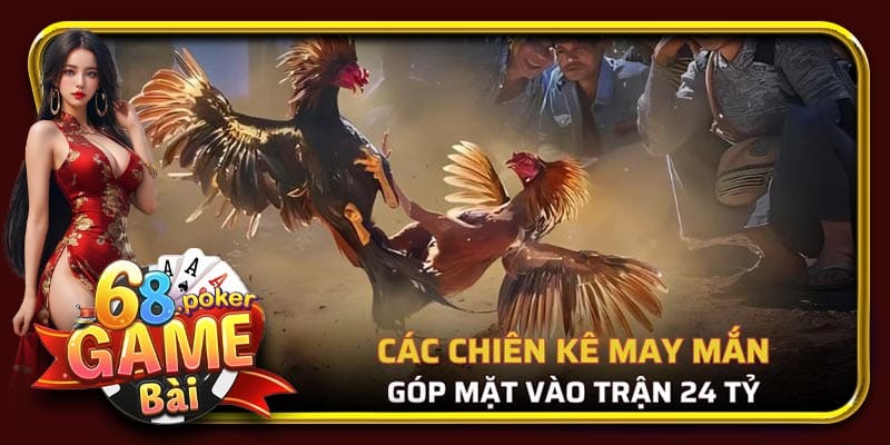 3 Gà chiến may mắn được ưu tiên trong cuộc chơi