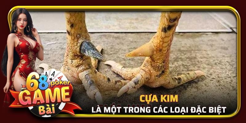 Cựa kim là một trong các loại đặc biệt