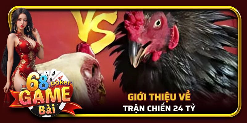 Khái quát thông tin trận gà 24 tỷ