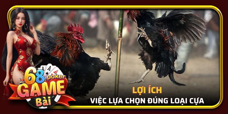Việc lựa chọn đúng loại cựa mang lại nhiều lợi ích quan trọng