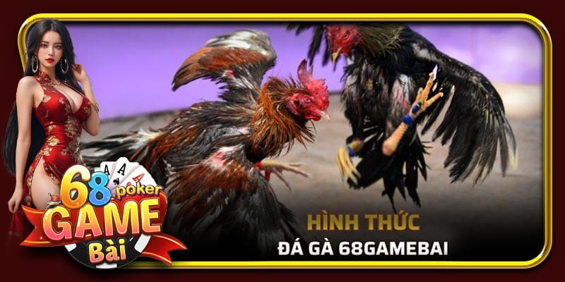 Một số hình thức đá gà tại 68 Game Bài phổ biến nhất