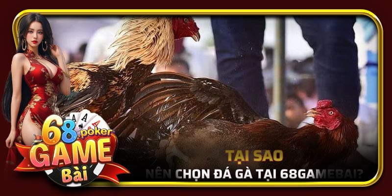 Tại sao bạn nên chọn 68 Game Bài để tham gia đá gà trực tuyến?
